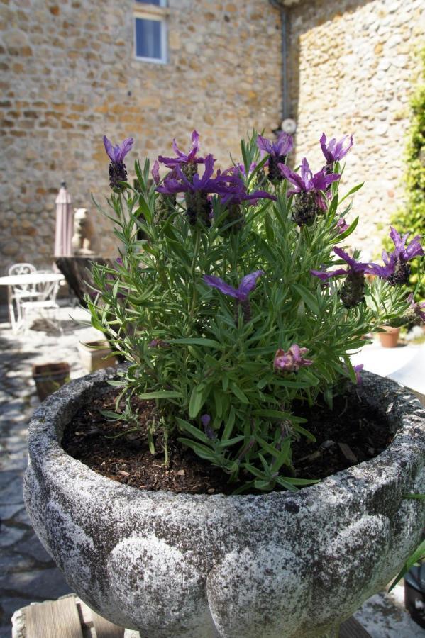 Maison Du Manoir Vallon-Pont-dʼArc Eksteriør bilde